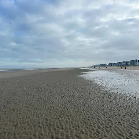 Zotte Garnaal 別荘 コクセッド