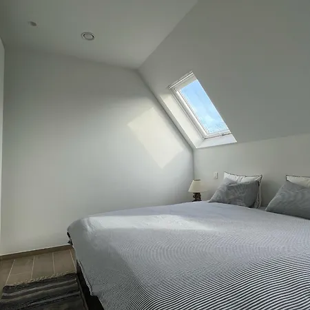 Zotte Garnaal Коксейде